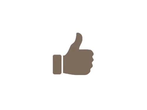 Client Satisfaction Icon